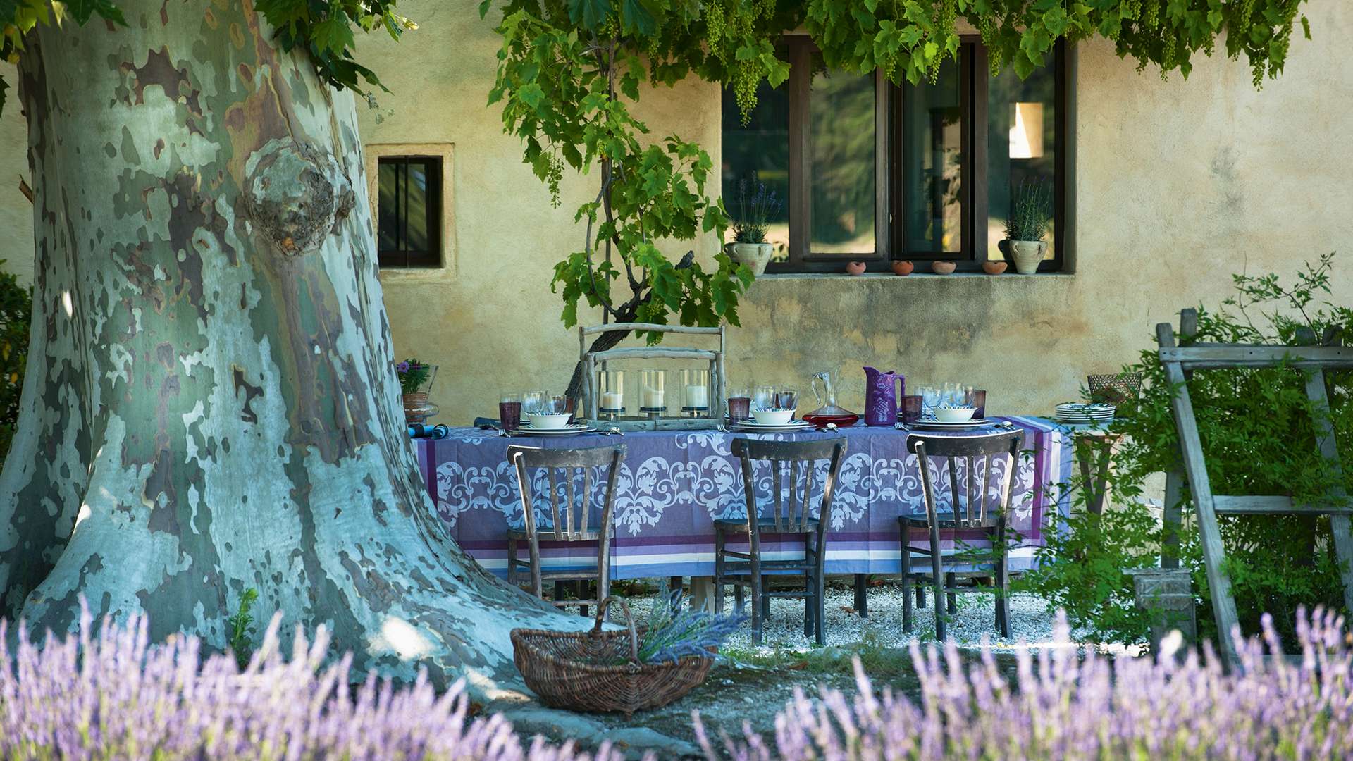 Lila Lavendelfeld Provence