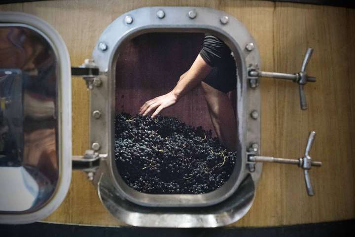 Bevor die Weinbereitungstechniken aus dem Bordeaux in Rioja Fuß fassten, wurden die Weine in Rioja traditionell mittels »Macération Carbonique« hergestellt.