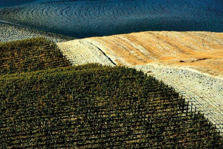 Das Val d'Orcia im landwirtschaftlichen Hinterland von Siena – seit 2004 UNESCO-Weltkulturerbe. / © Corbis Images