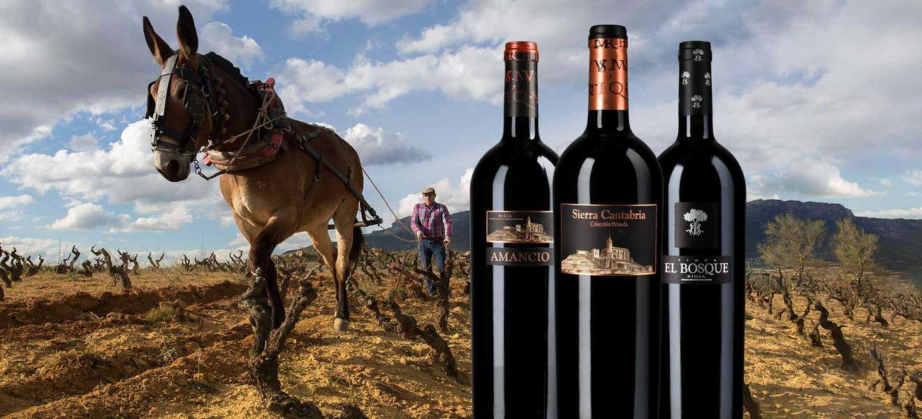 Die Herkunft von Sierra Cantabria ist in jedem Wein schmeckbar.