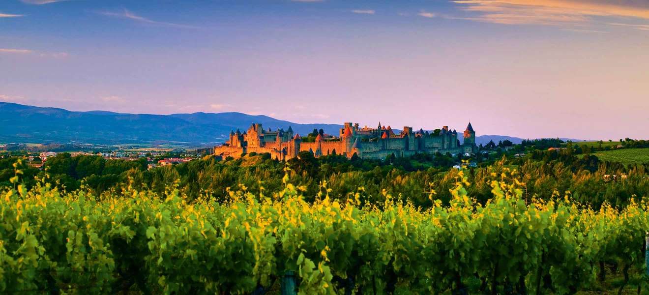 Weinbau vor historischer Kulisse: Die mittelalterliche Festung Carcassonne ist UNESCO-Weltkulturerbe.