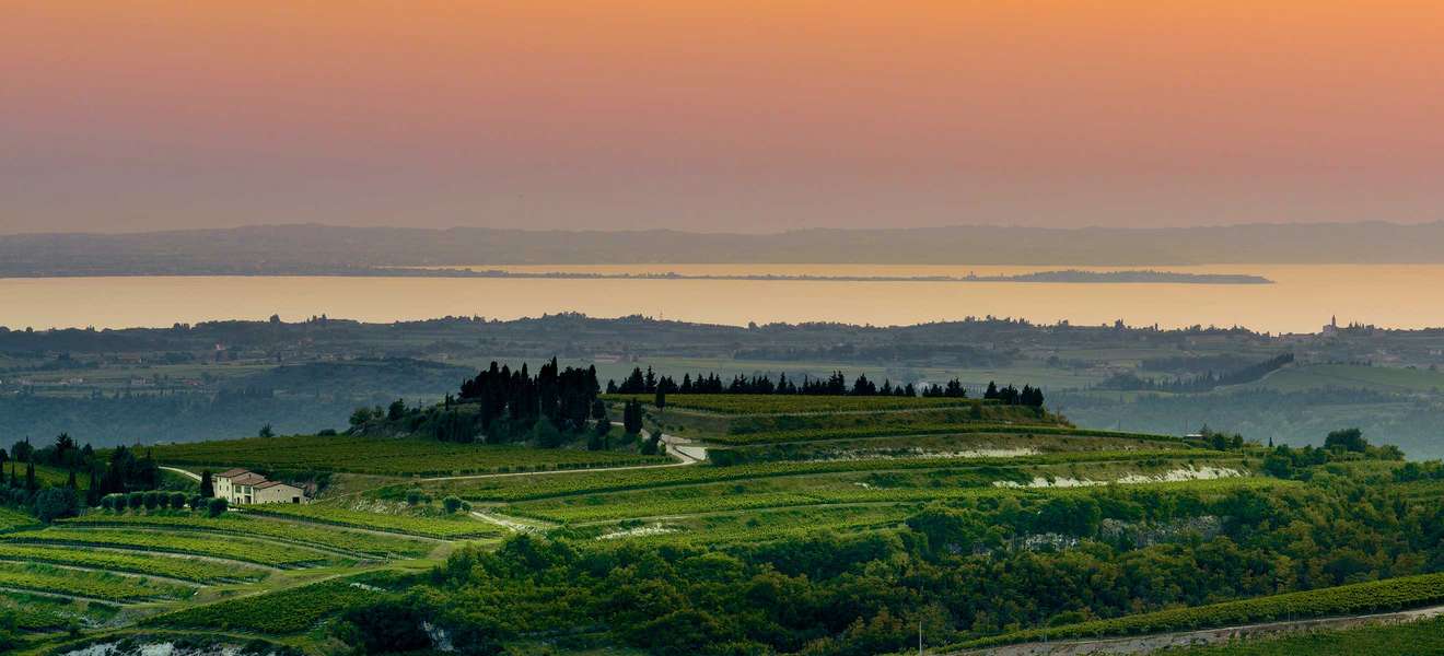 Seeblick: Von Allegrinis La-Grola-Weingarten fällt der Blick direkt auf den Gardasee.