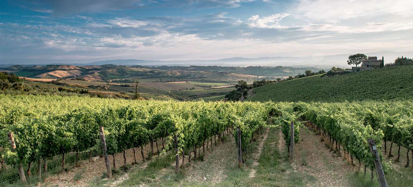 Das Weingut Icario liegt in Montepulciano in der Toskana.