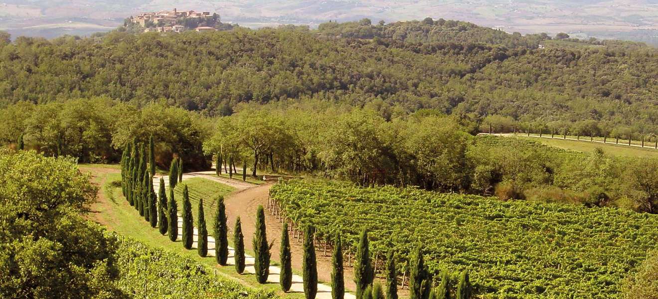 Malerisch inmitten von Weingärten: Sant'Angelo in Colle, südwestlich von Montalcino gelegen.