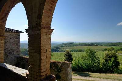 Ausblick auf die Weinreben des Weinguts Fèlsina.