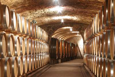 Vom Weingut Kollwentz (im Kreis) kommt mit Konstanz Österreichs bester Chardonnay.