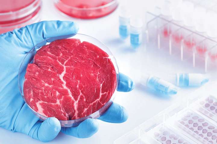 Im Labor produziertes Fleisch aus Zellkulturen ist in der Produktion sehr aufwendig und teuer – zumindest derzeit noch.