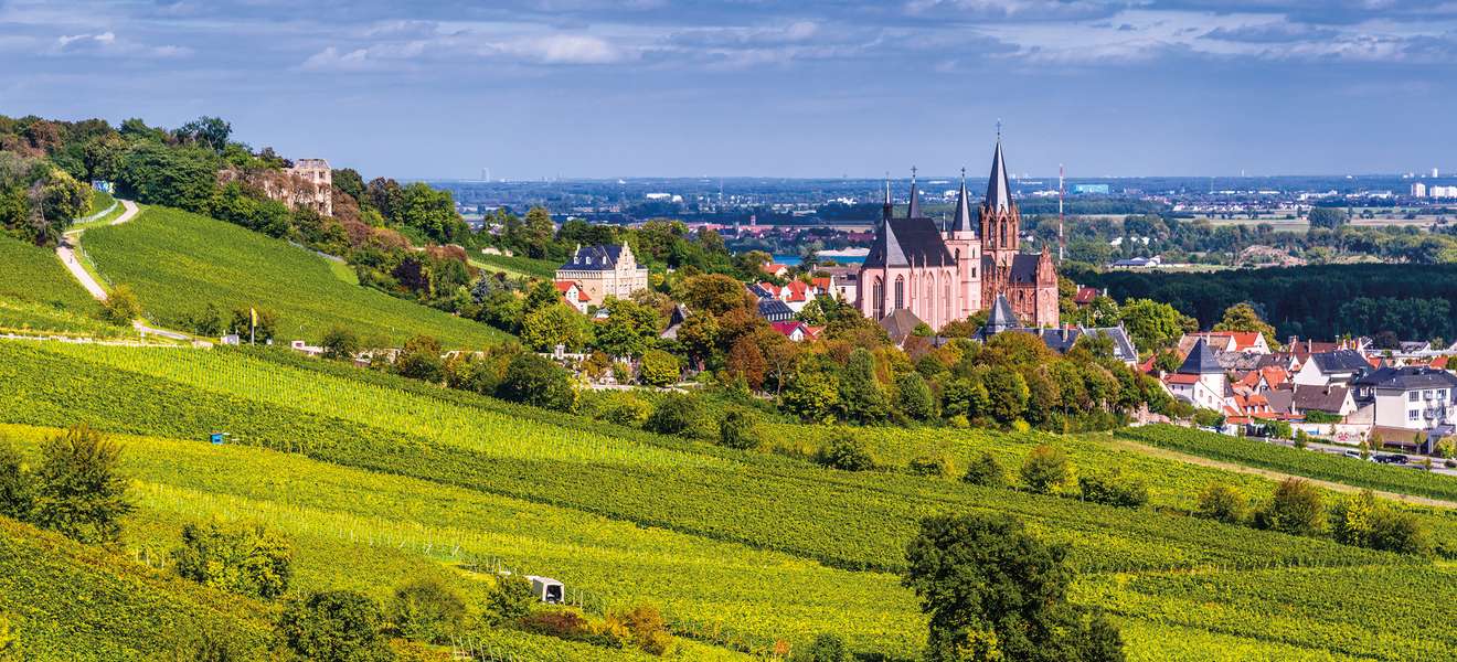 Blick auf Oppenheim mit seiner Katharinenkirche, deren Bau imi Jahr 1226 begonnen wurde. 
