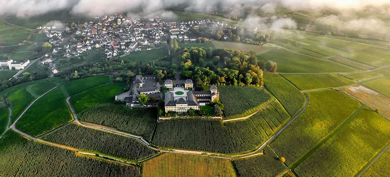 Schloss Johannisberg ist das erste Riesling-Weingut der Welt – und Wurzel der Fürst von Metternich Sekte.