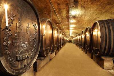 Die Vergärung und der Ausbau der Weine im klassischen Holzfass ist bei Reichsrat von Buhl Staatsräson.