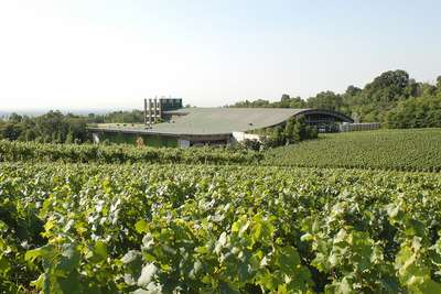 Das Weingut Ca' del Bosco inmitten von Weingärten.