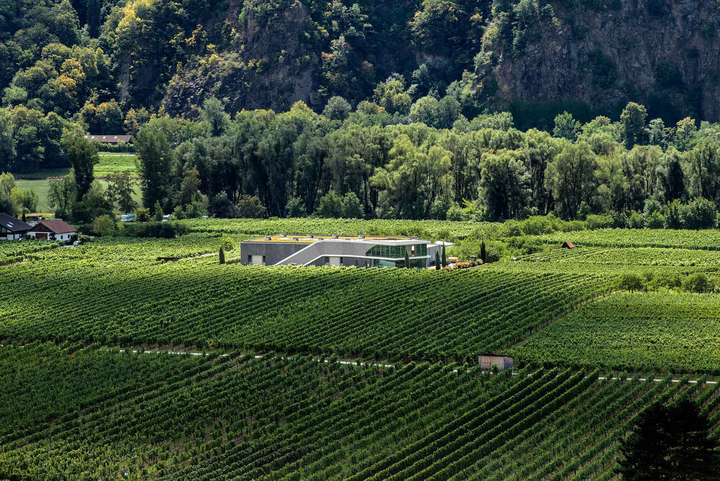 Mitten in den Weingärten zwischen Dürnstein und Oberloiben liegt das neue Weingut F.X. Pichler.