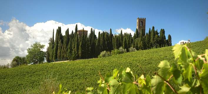 Rund um das Kloster von Passignano wachsen die Reben für Marchesi Antinoris Weine.