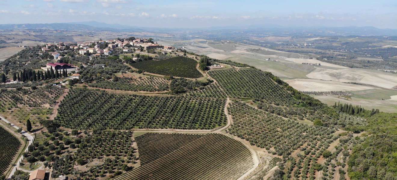 Das Weingut Otto Ettari liegt im noch jungen DOCG Angebaugebiet Montecucca.