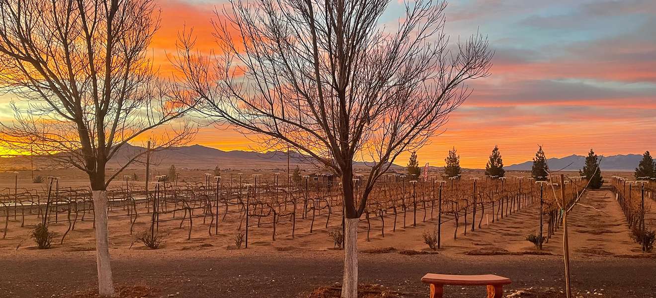 Blick auf das Cella Weingut in Arizona.