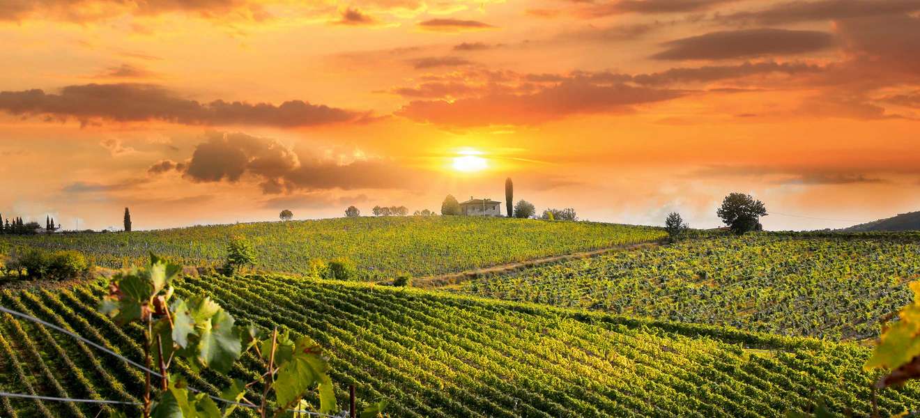 Die romantischen Sonnenuntergänge über  den Weinbergen der Toskana laden dazu ein, die Seele baumeln zu lassen. 