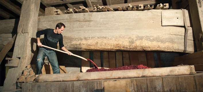 Der Pinot Noir N° 3 von Bachtobel wird in einer restaurierten, mächtigen Baumpresse aus dem 16. Jahr­hundert gepresst.