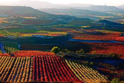 Kontinentales Klima in der Rioja