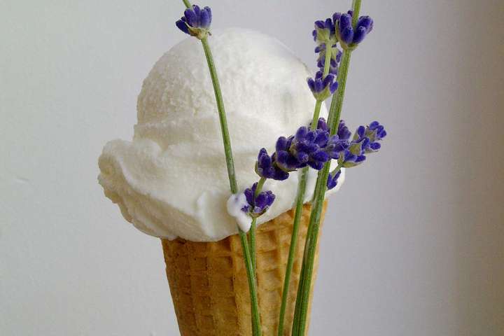 Die Sorte Lavendel im »N'Eis«.