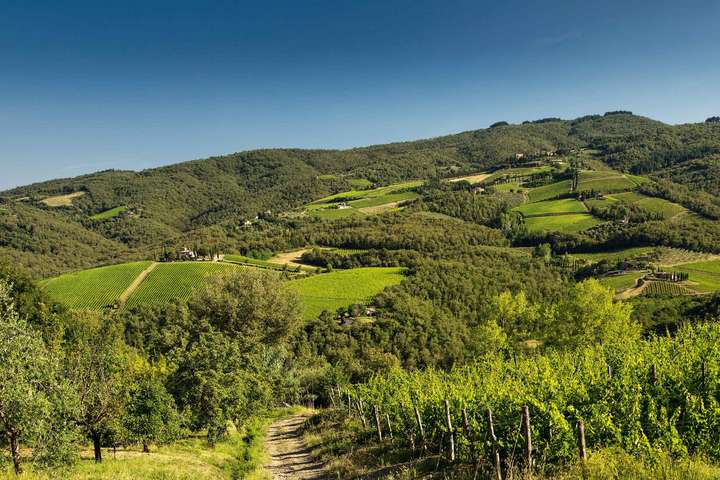 Das Weingut Castello di Volpaia liegt im Herzen des Chianti Classico, umgeben von den besten Sangioveselagen.