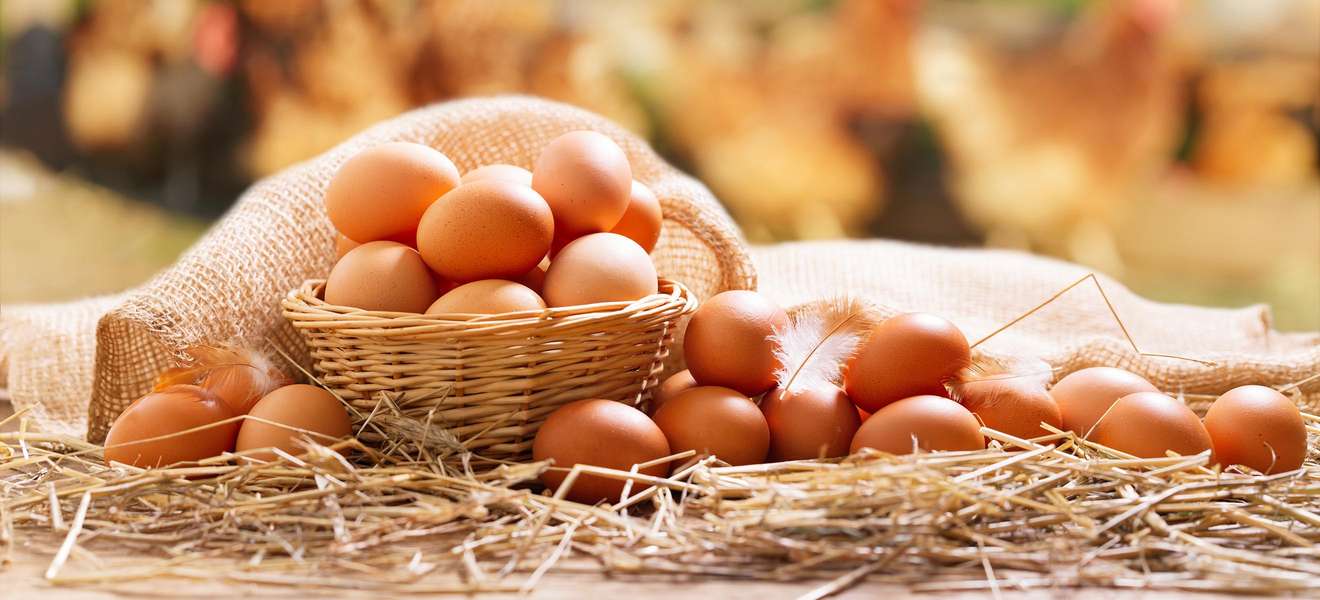 Jeder Deutsche verzehrt im Schnitt rund 238 Eier pro Jahr.