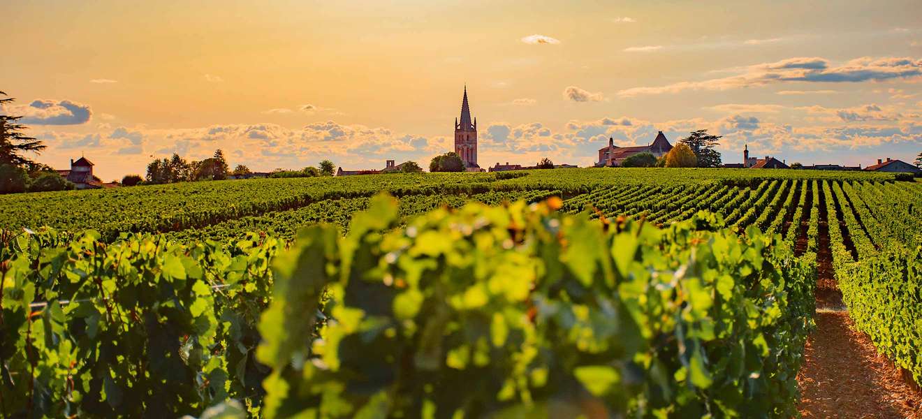 Saint-Émilion wurde in den Neunzigerjahren zur Heimat der »Garagen-Weingüter«: Deren Mini-Produktion umfasste manchmal nur 1000 bis 2000 Flaschen.