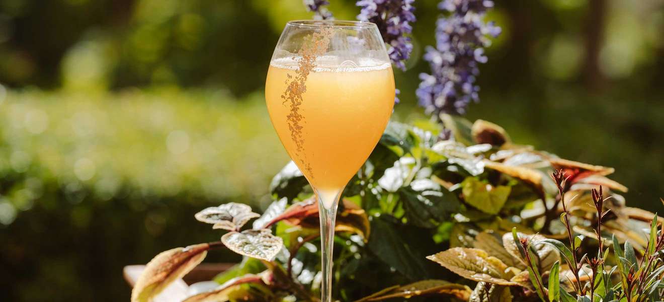 In einem verborgenen Hochgarten im dritten Stock des »Ritz-Carlton« Berlin kann man während des Sommers Champagner genießen.