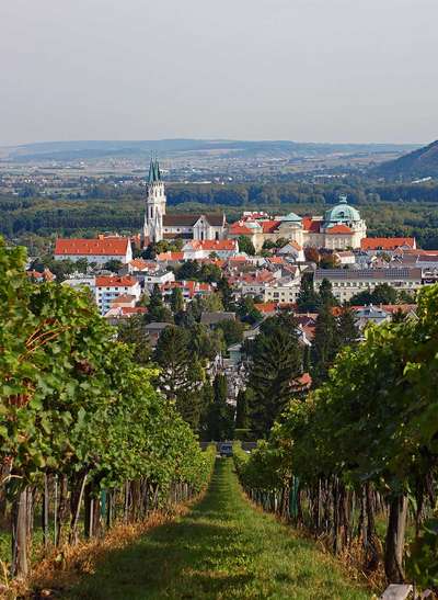 Ihren Ausgang nahm die Erfolgsgeschichte des Zweigelts vor 100 Jahren in der damals neu gegründeten Rebzuchtanstalt der Weinbauschule in Klosterneuburg.