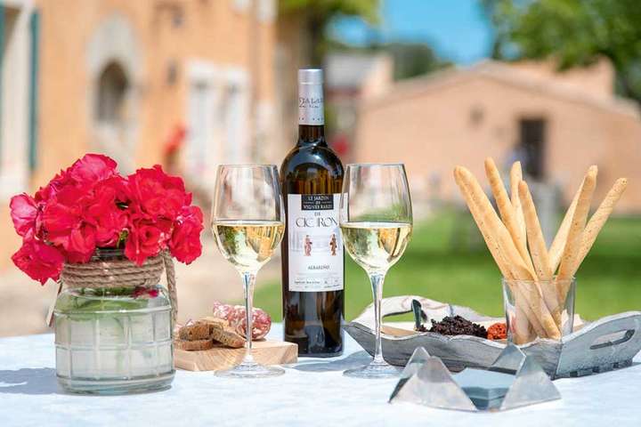 Die Weine im Languedoc könnten charaktervoller nicht sein. Auch an der Qualität mangelt es kein bisschen.