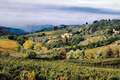 Inmitten von Weinbergen und Olivenhainen im Chianti-Gebiet liegt das Castellare di Castellina.