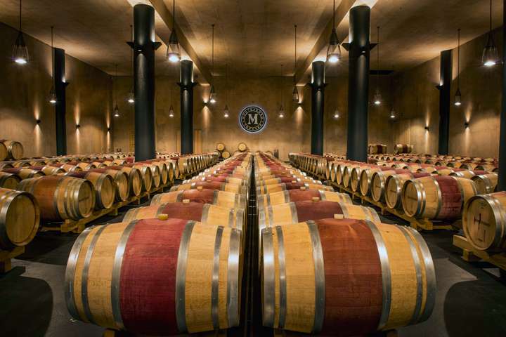 Monteverro: Top-Weingut aus der südlichen Toskana.