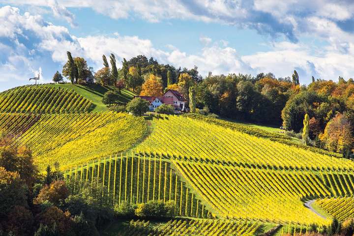In der Südsteiermark prägen die Weingärten die Landschaft. / © APRESVINO.AT, Weingut Wohlmuth-Kitzeck
